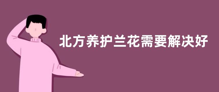 北方养护兰花需要解决好哪些问题
