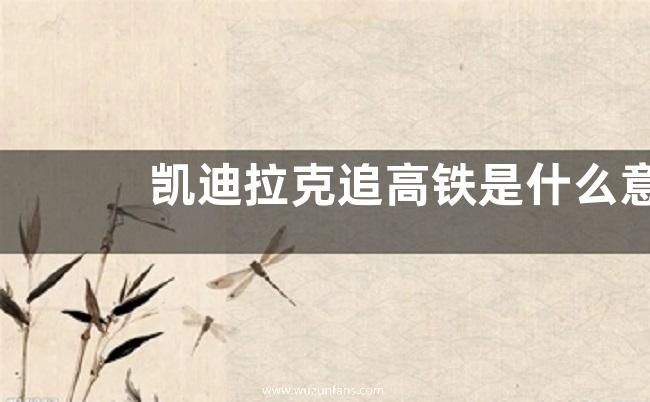 凯迪拉克追高铁是什么意思？