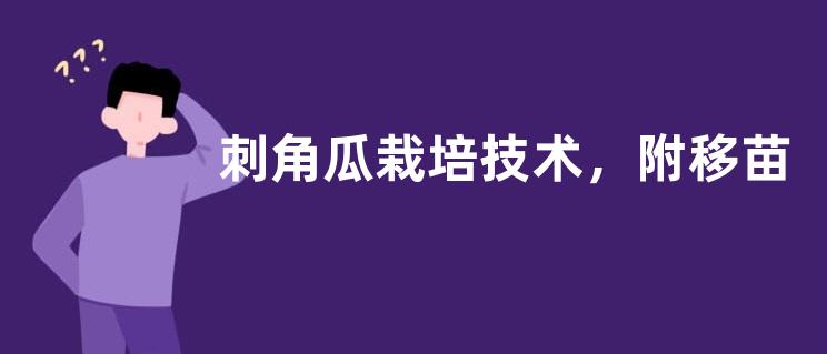 刺角瓜栽培技术，附移苗时间