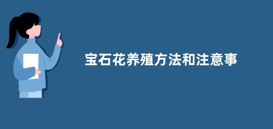 宝石花养殖方法和注意事项，附生长习性和繁殖方法