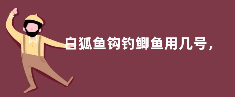 白狐鱼钩钓鲫鱼用几号，白狐鱼钩使用基本常识