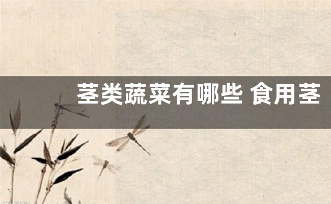 茎类蔬菜有哪些 食用茎类蔬菜品种大全（图片）