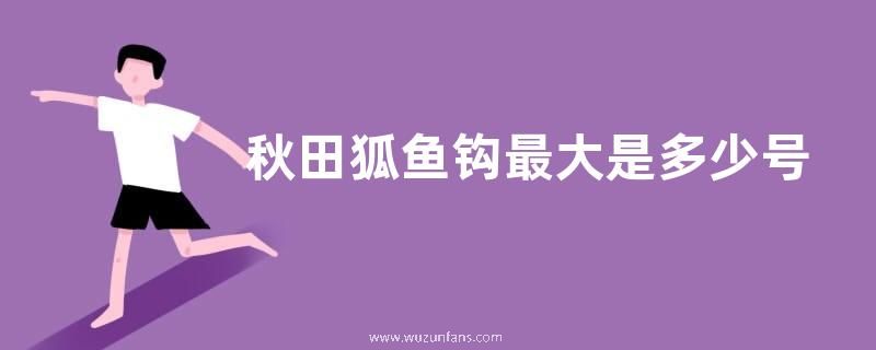 秋田狐鱼钩最大是多少号？附钩形特点