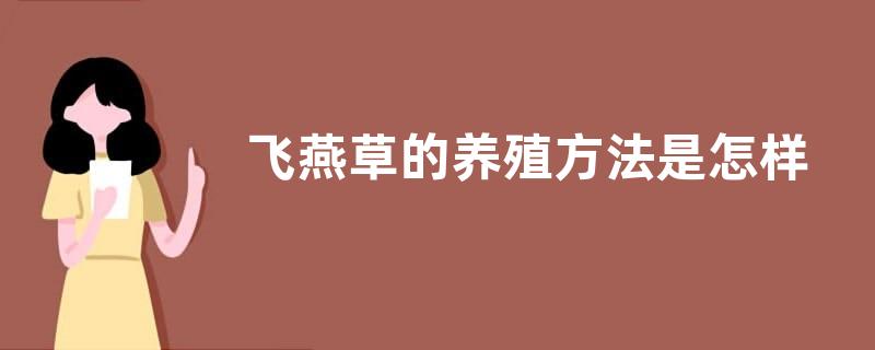 飞燕草的养殖方法是怎样？飞燕草的生长习性