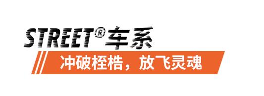 哈雷摩托车价格"哈雷摩托车价格表"