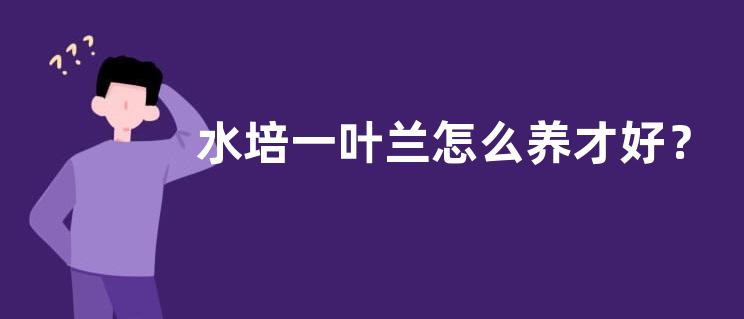 水培一叶兰怎么养才好？一叶兰的生长习性