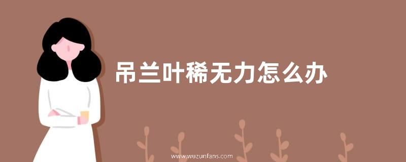 吊兰叶稀无力怎么办  用什么废料养可以恢复