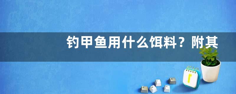 钓甲鱼用什么饵料？附其作钓工具
