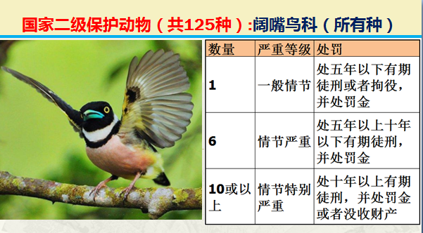 国家二级野生保护动物（最新125类保护名录）