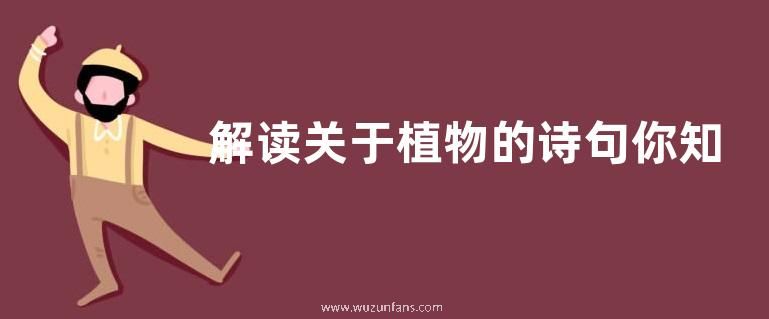 解读关于植物的诗句你知道有哪些吗
