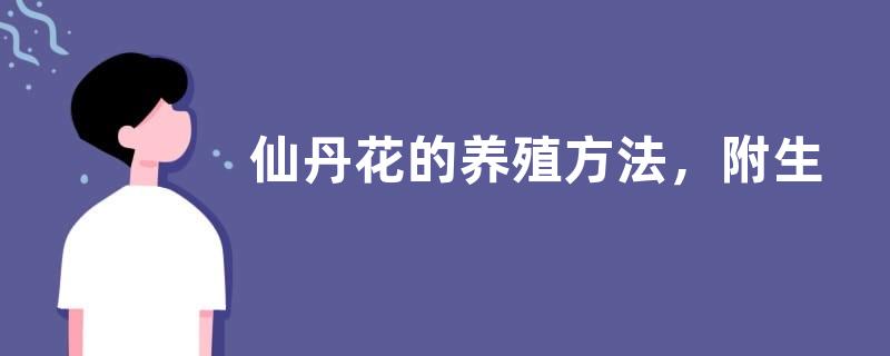 仙丹花的养殖方法，附生长习性和繁殖方法