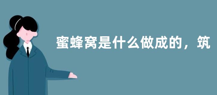 蜜蜂窝是什么做成的，筑巢材料是怎么来的