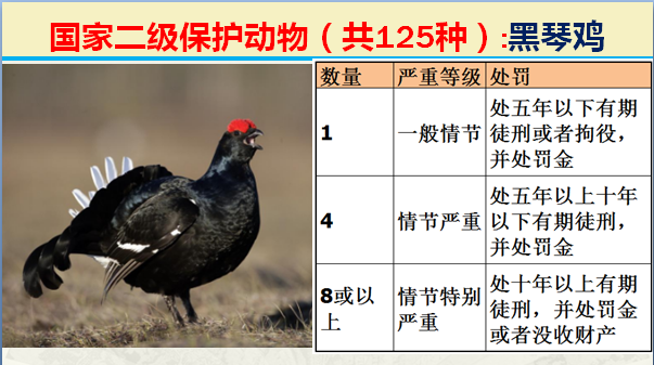 国家二级野生保护动物（最新125类保护名录）