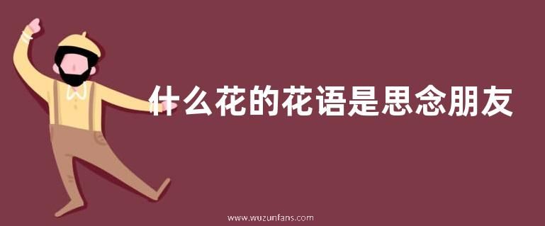 什么花的花语是思念朋友
