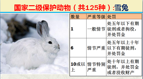 国家二级野生保护动物（最新125类保护名录）