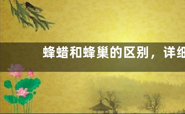 蜂蜡和蜂巢的区别，详细介绍