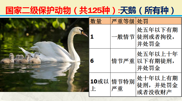 国家二级野生保护动物（最新125类保护名录）