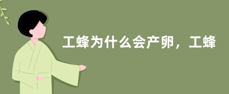 工蜂为什么会产卵，工蜂产的卵什么样