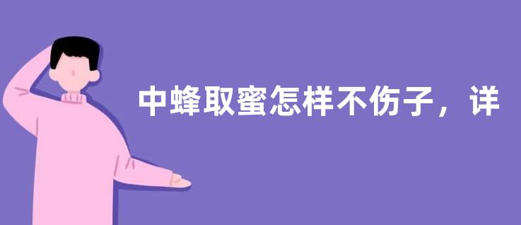 中蜂取蜜怎样不伤子，详细介绍
