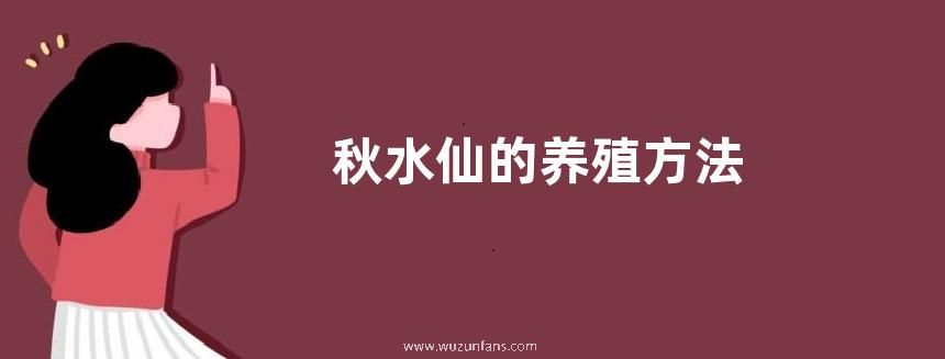 秋水仙的养殖方法