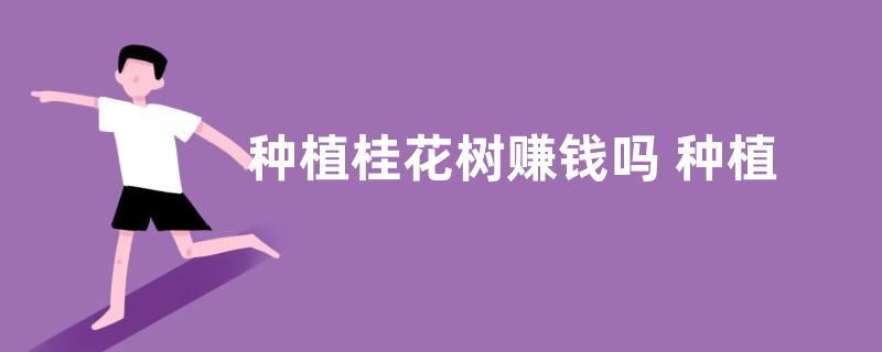 种植桂花树赚钱吗 种植前景如何