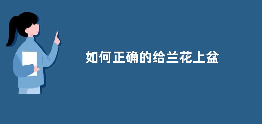 如何正确的给兰花上盆