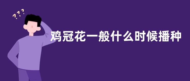 鸡冠花一般什么时候播种？盆栽怎么种植