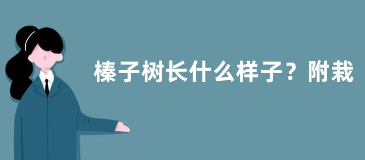 榛子树长什么样子？附栽培技术要点