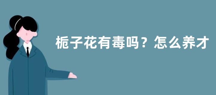 栀子花有毒吗？怎么养才能正常开花