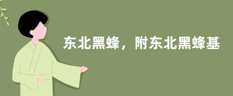 东北黑蜂，附东北黑蜂基本介绍