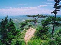 景忠山