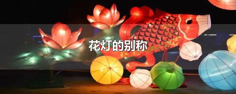 花灯的别称