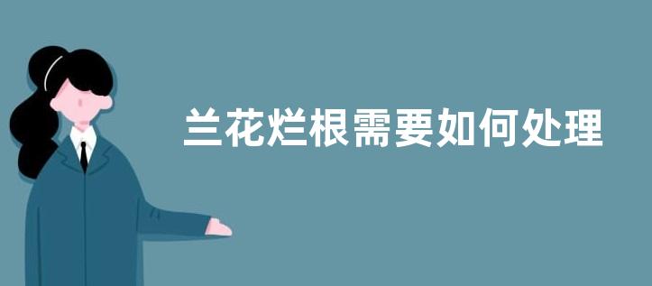 兰花烂根需要如何处理