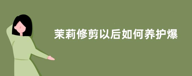 茉莉修剪以后如何养护爆盆