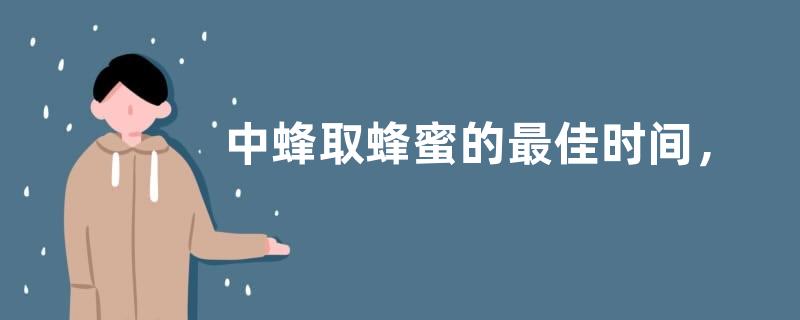 中蜂取蜂蜜的最佳时间，如何割取蜜脾、分离蜂蜜
