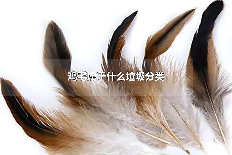 鸡毛属于什么垃圾分类 垃圾分类的目的是什么