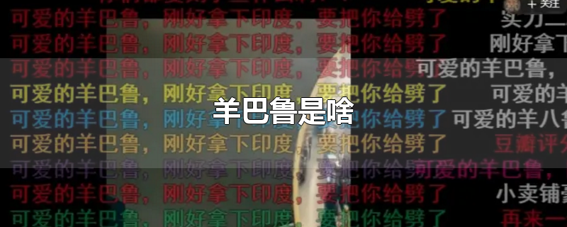 羊巴鲁是啥