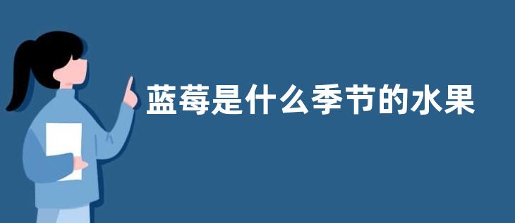 蓝莓是什么季节的水果