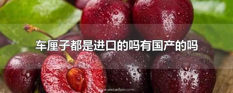 车厘子都是进口的吗有国产的吗