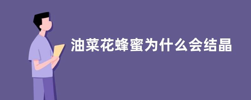 油菜花蜂蜜为什么会结晶，附结晶状态
