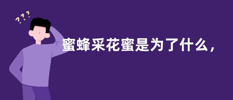 蜜蜂采花蜜是为了什么，附所采花蜜的用途