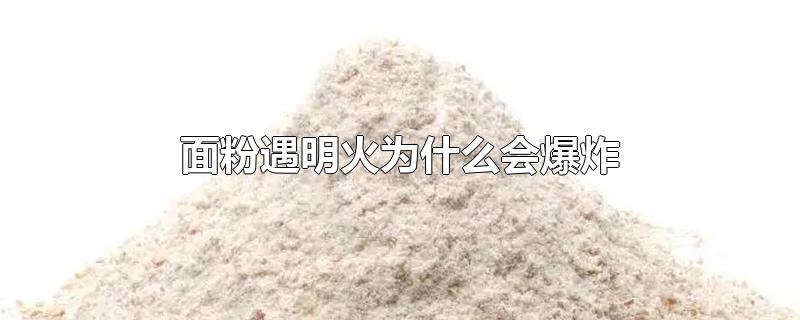 面粉遇明火为什么会爆炸