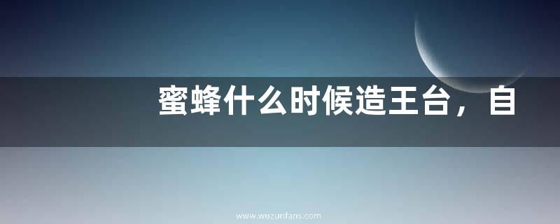 蜜蜂什么时候造王台，自然分蜂的直观表现是什么