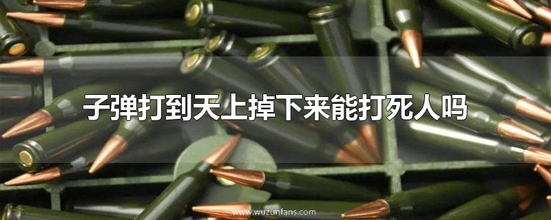 子弹打到天上掉下来能打死人吗