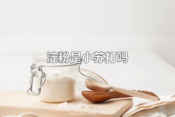 淀粉是小苏打吗 淀粉不是小苏打