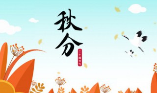 白露后是什么节气 秋分介绍