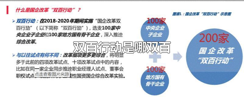 双百行动是哪双百