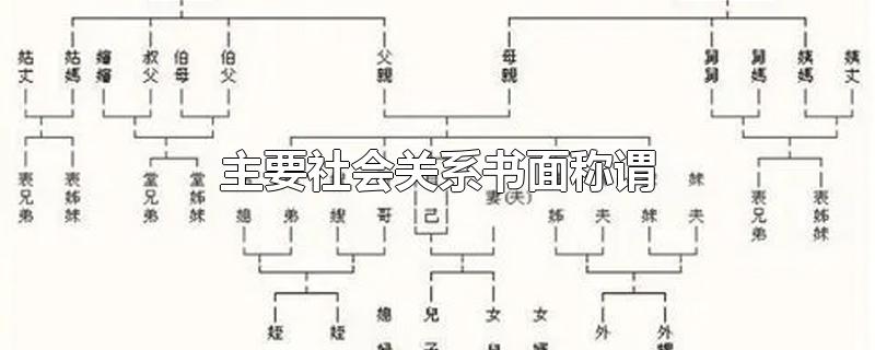 主要社会关系书面称谓