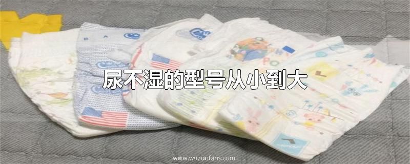 尿不湿的型号从小到大