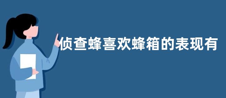 侦查蜂喜欢蜂箱的表现有哪些，附注意事项